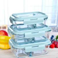 Rectangular Heatproof Microwave Lunch Box (JS1063)