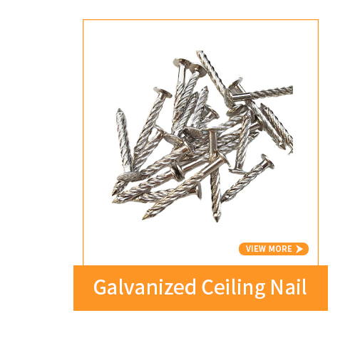 Galvanized Ceiling Nail