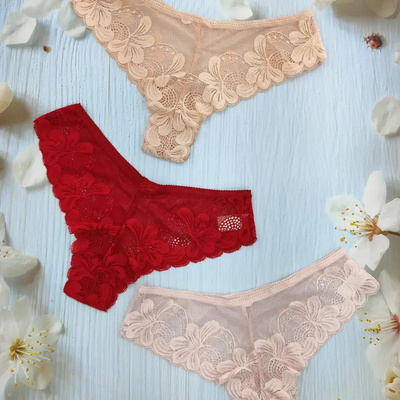 Floral Lace Panties, Soft & Comfy Scallop Trim Intimates Panties, Women's Lingerie & Underwear