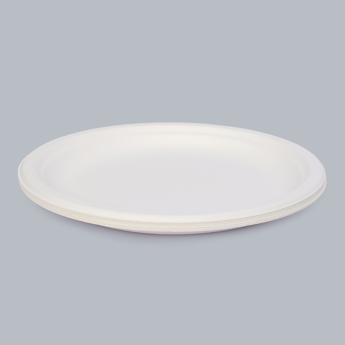 Disposable Tableware 10-inch Round Plate