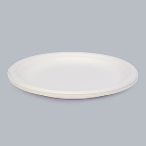 Disposable Tableware 10-inch Round Plate