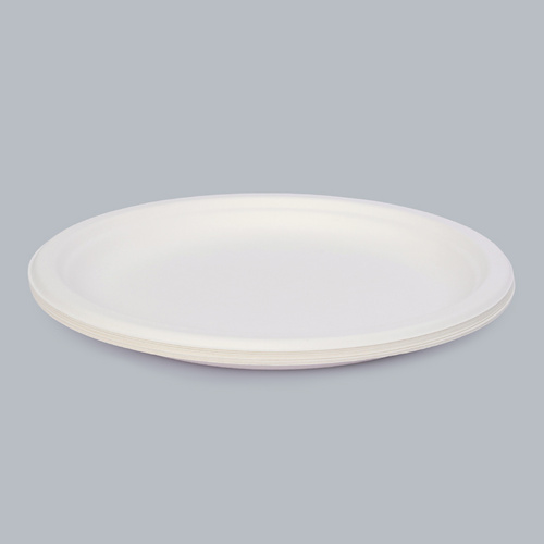 Disposable Tableware 10-inch Round Plate