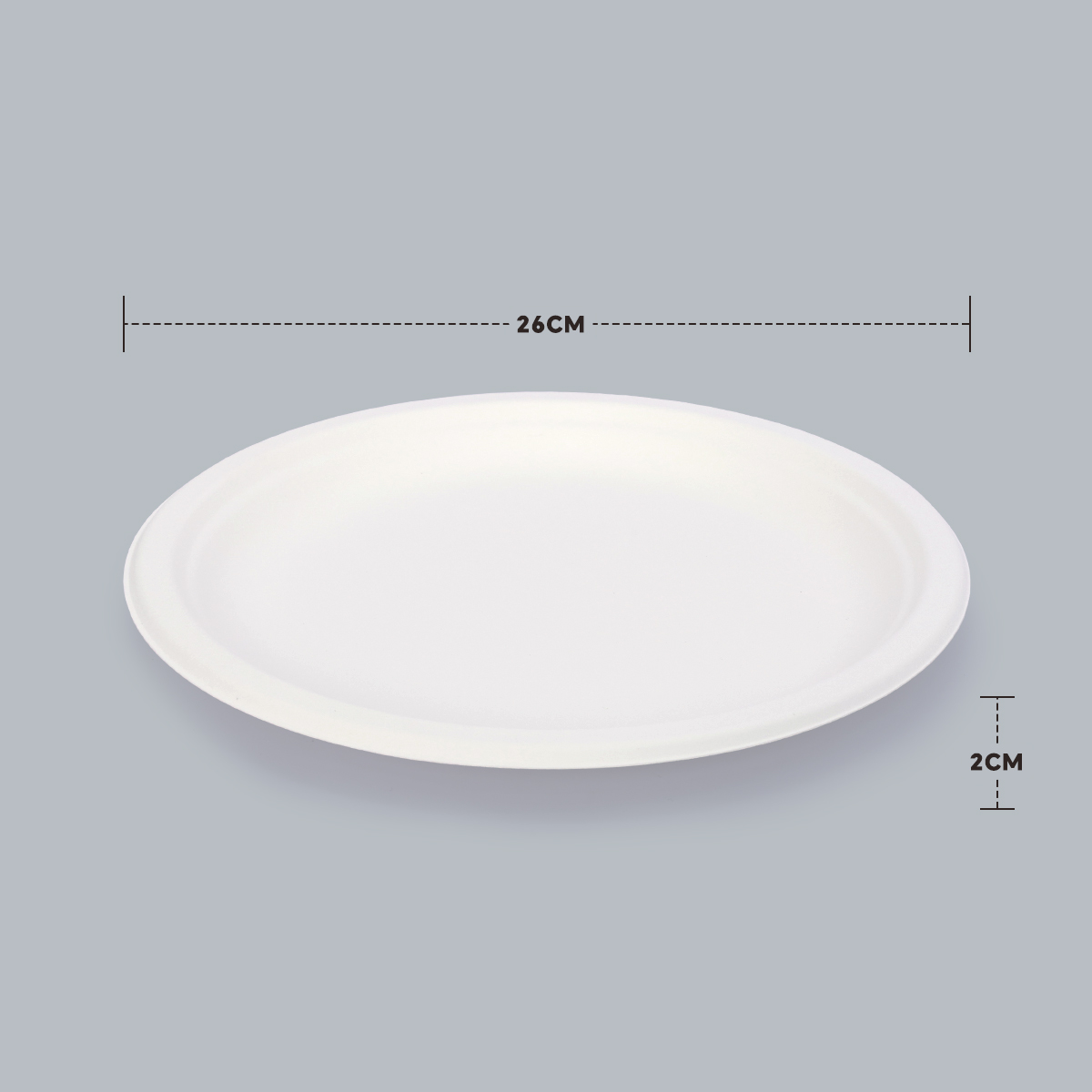 Disposable Tableware 10-inch Round Plate