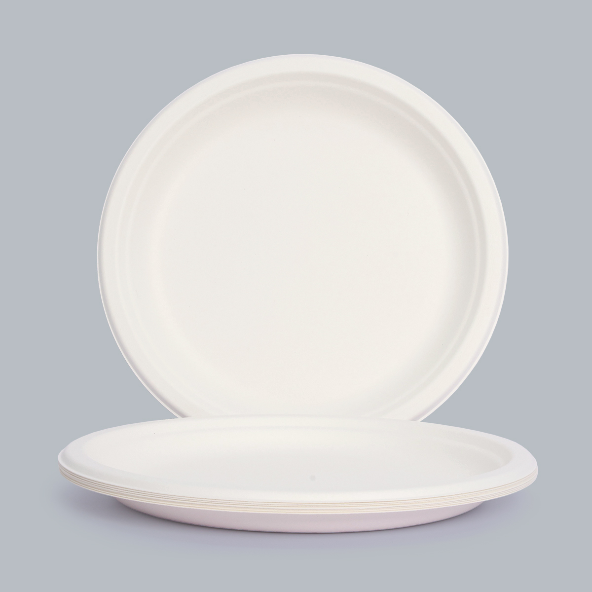 Disposable Tableware 10-inch Round Plate