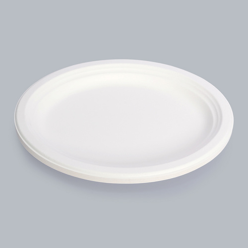 Disposable Tableware 12.5-inch Oval Plate