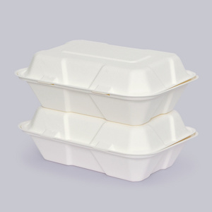 Disposable Tableware 9×6 inch Meal box