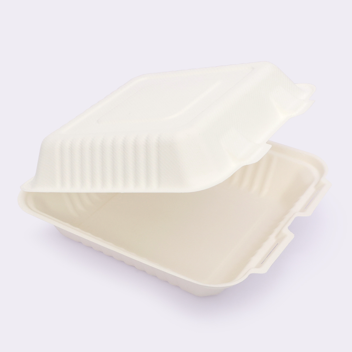 Disposable Tableware 9×9 Inch Flip-top Box