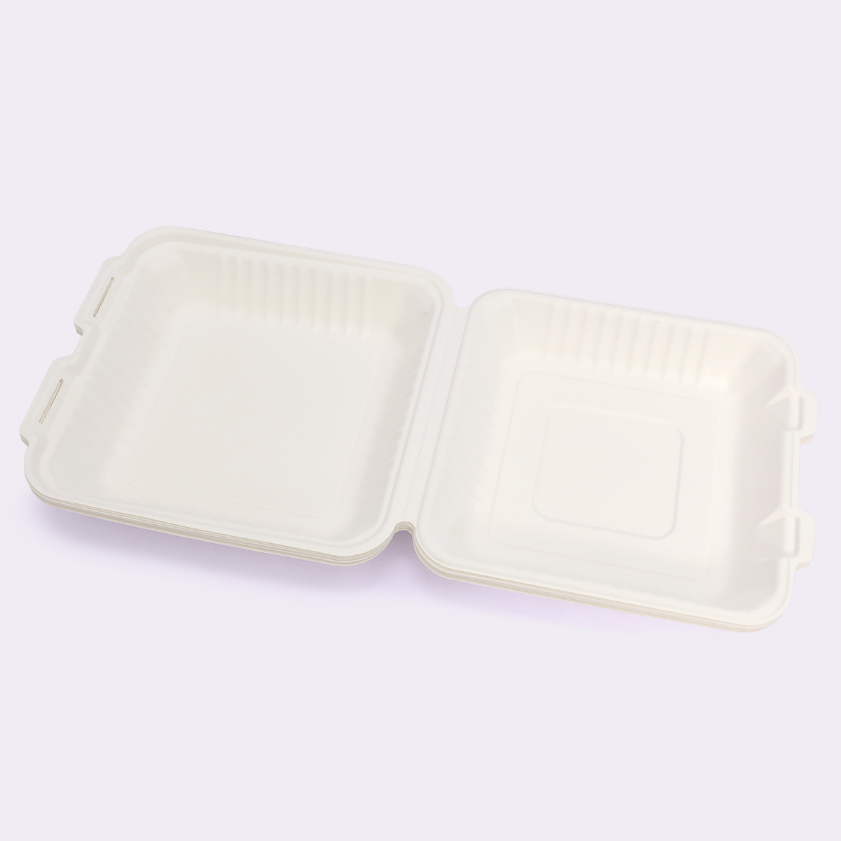 Disposable Tableware 9×9 Inch Flip-top Box