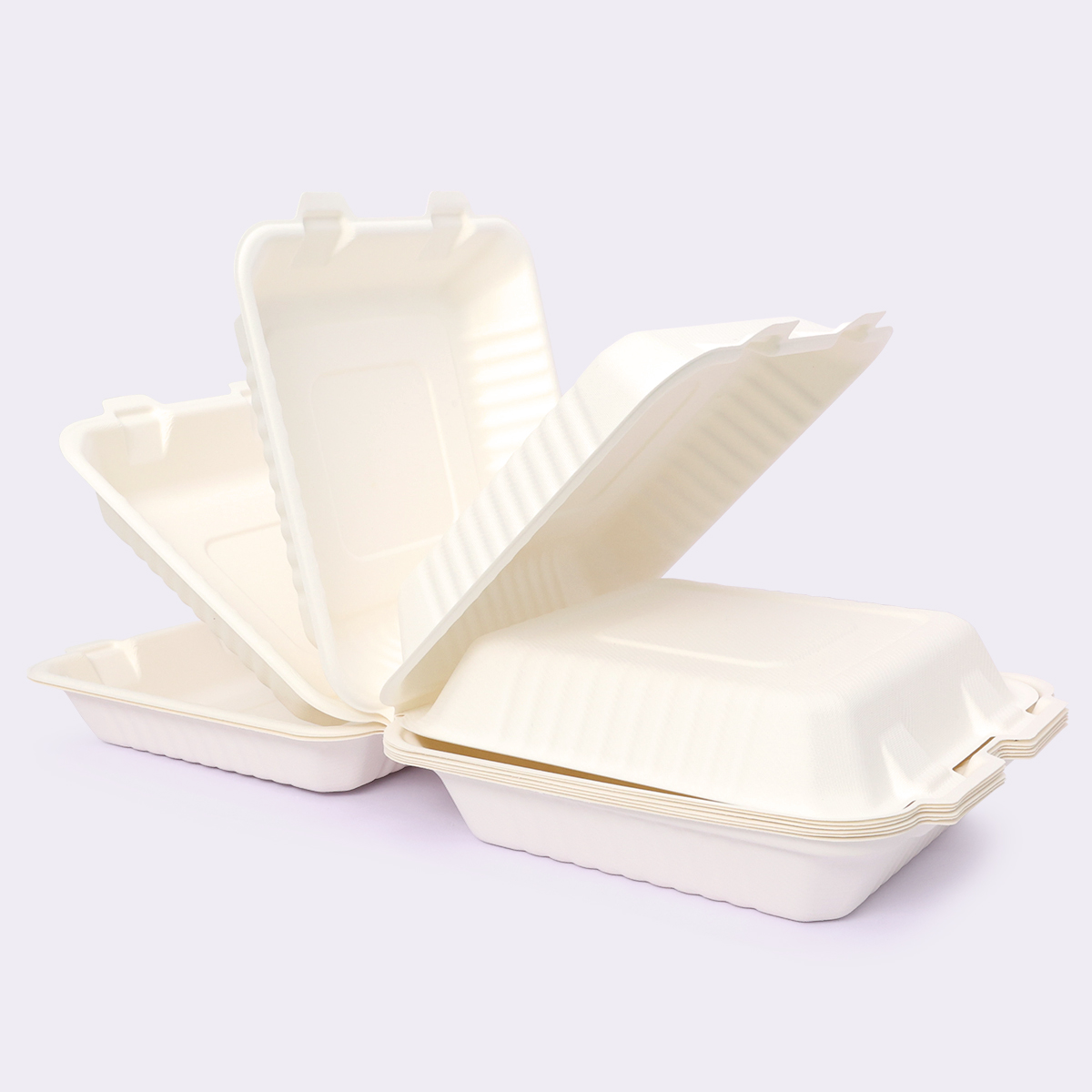 Disposable Tableware 9×9 Inch Flip-top Box