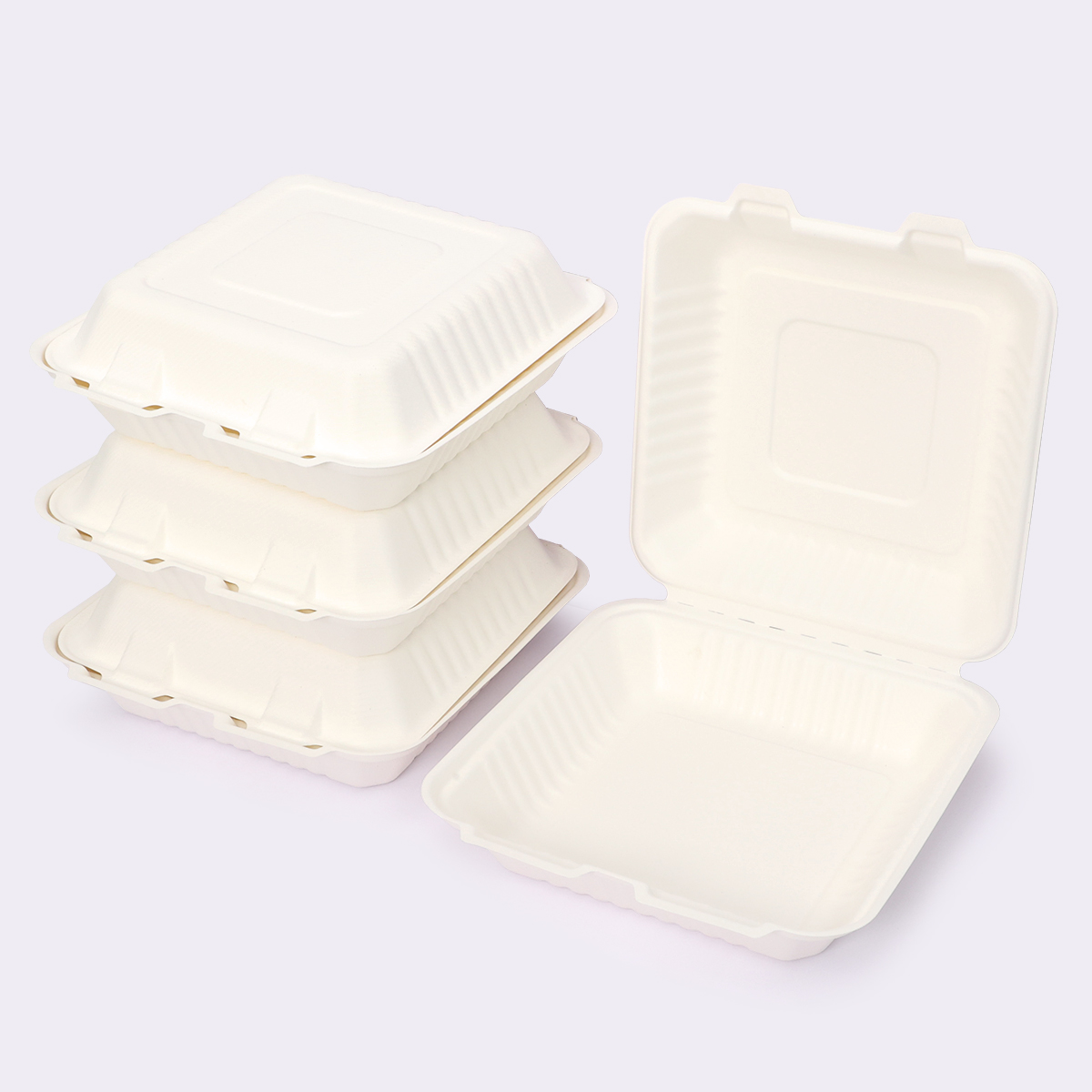 Disposable Tableware 9×9 Inch Flip-top Box