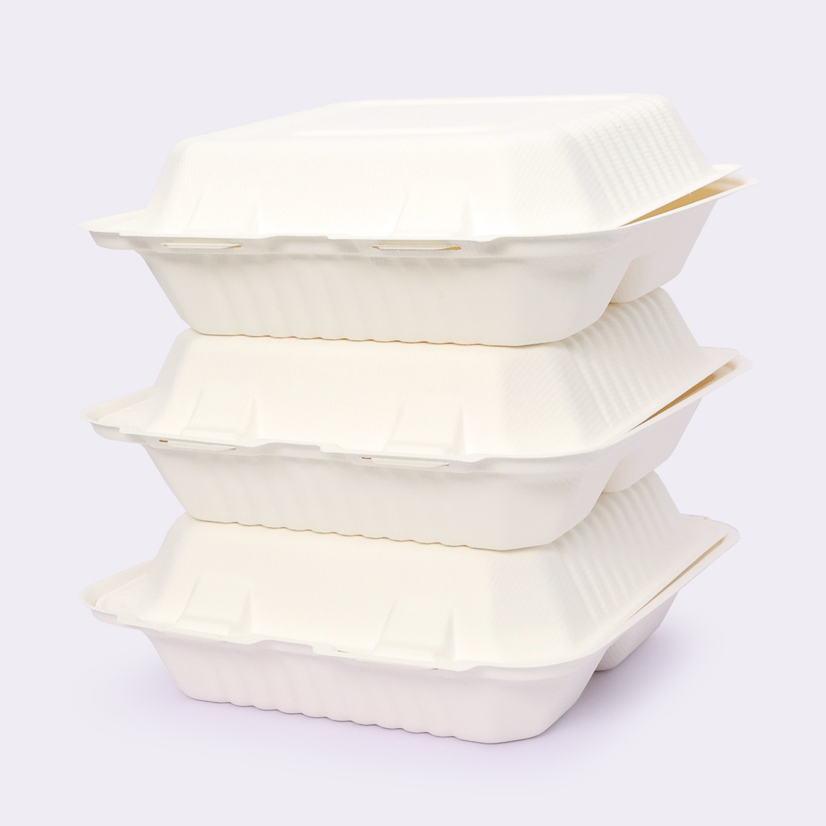 Disposable Tableware 9×9 Inch Flip-top Meal Box