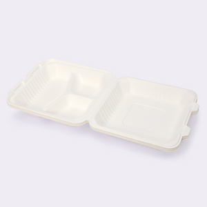 Disposable Tableware 9×9 Inch Flip-top Meal Box