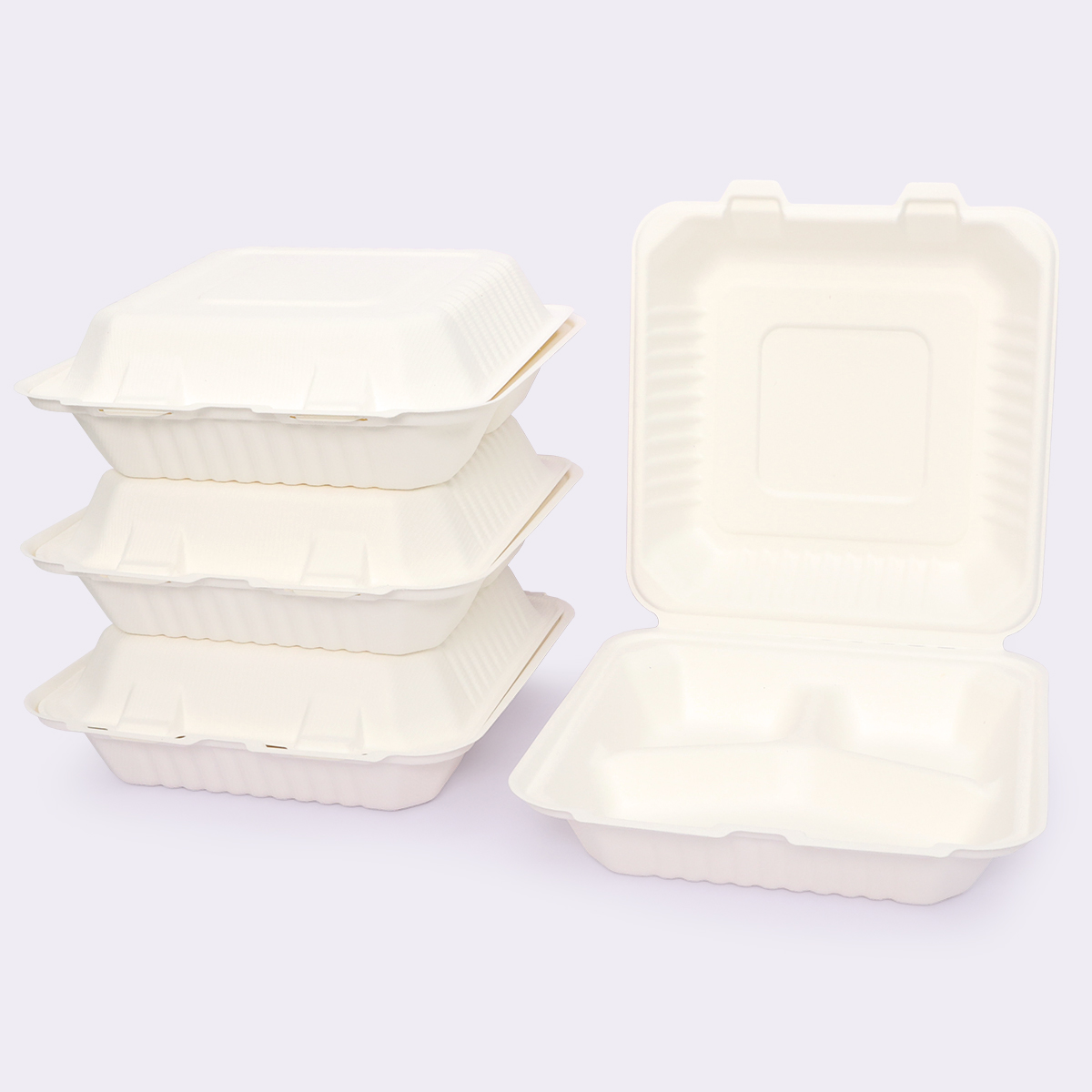 Disposable Tableware 9×9 Inch Flip-top Meal Box