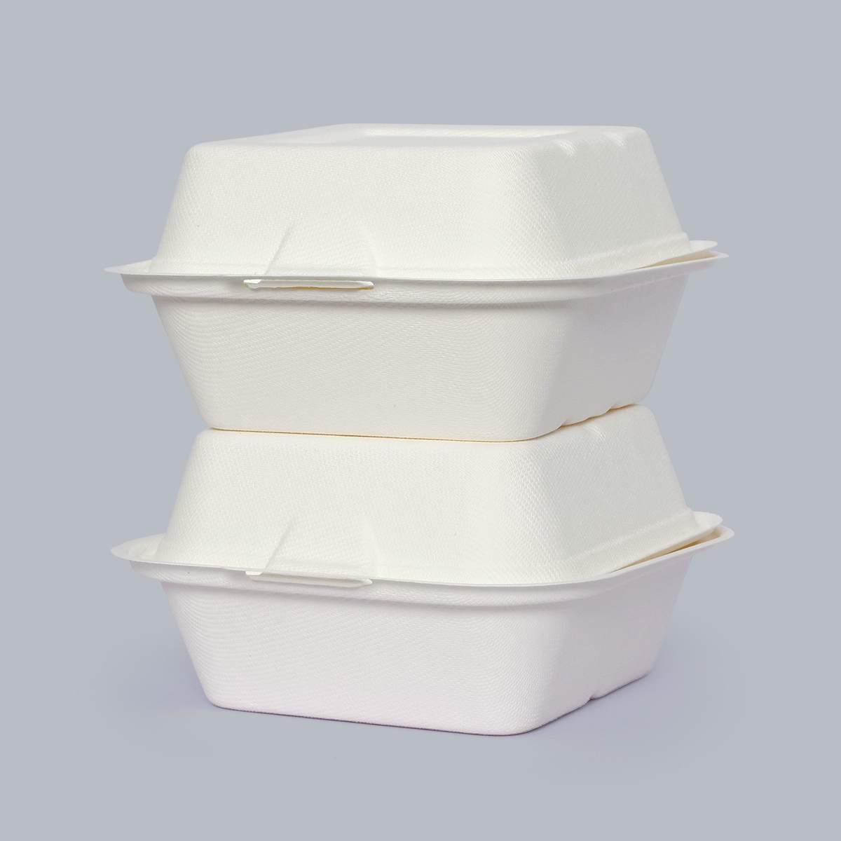 Disposable Tableware 6 Inch Hamburger Box