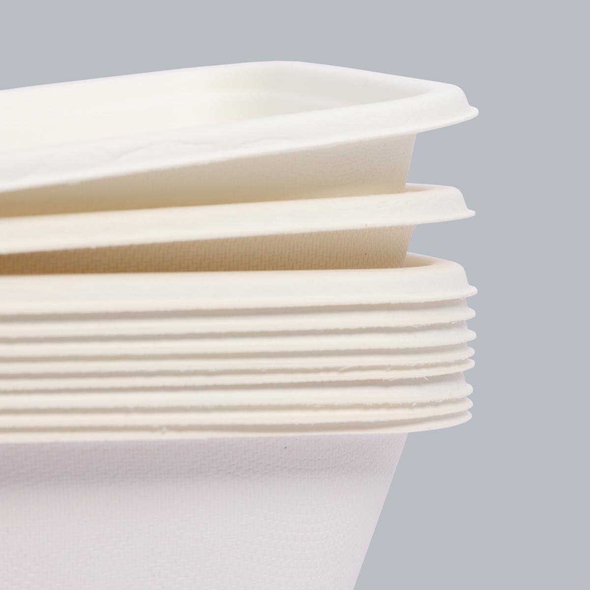 Disposable Tableware 850ml Square Meal Box