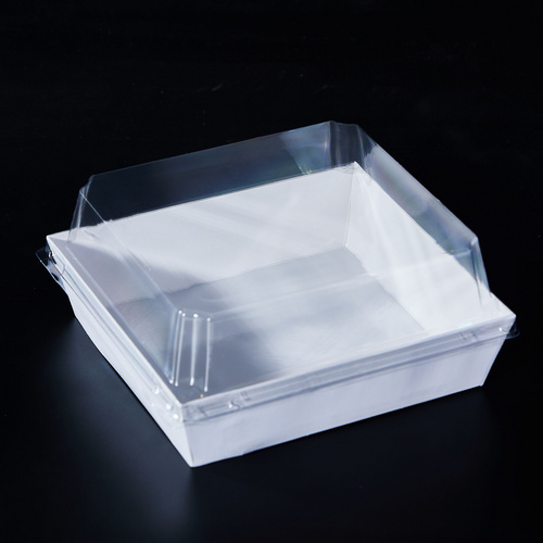 Charcuterie Boxes with Clear Lids,Bakery Boxes,Cookie Boxes,Small Treat Boxes for Cake Slice, Dessert to Go Containers