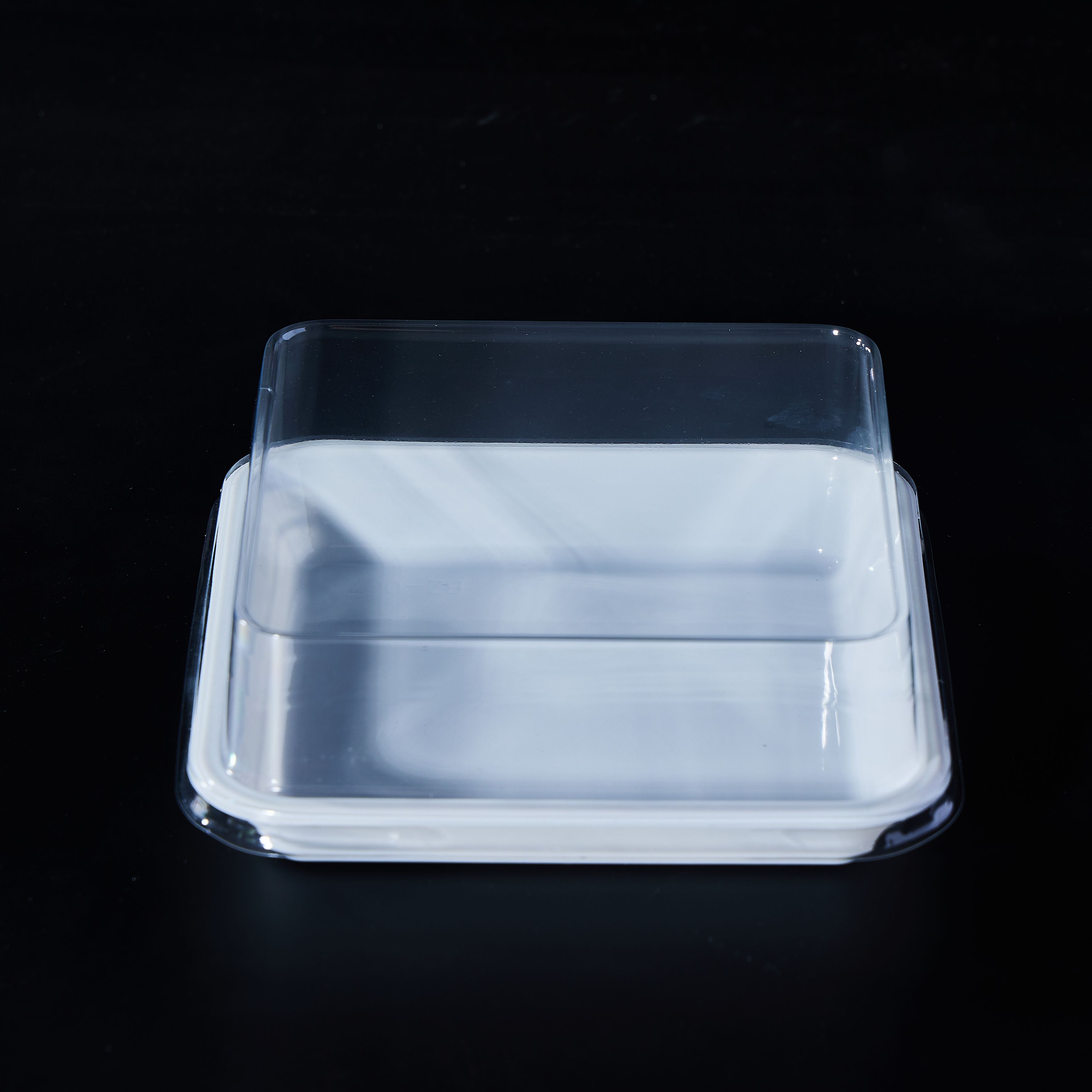 Charcuterie Boxes with Clear Lids,PET Bakery Boxes,Cookie Boxes,Small Treat Boxes for Cake Slice, Dessert to Go Containers