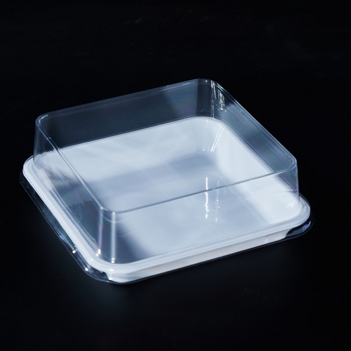 Charcuterie Boxes with Clear Lids,PET Bakery Boxes,Cookie Boxes,Small Treat Boxes for Cake Slice, Dessert to Go Containers