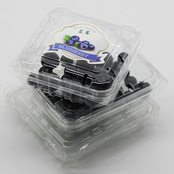 125g Flat Lid Blueberry box Fruit box for Grocery Store Farmers Market
