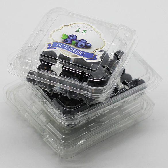 Free Sample 125g Flat Lid Blueberry box Fruit box for Grocery Store Farmers Market