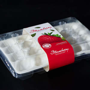 Clear Plastic Container for Strawberry 3X5 grids Strawberry box with sponge for Supermarket Farmer's Market