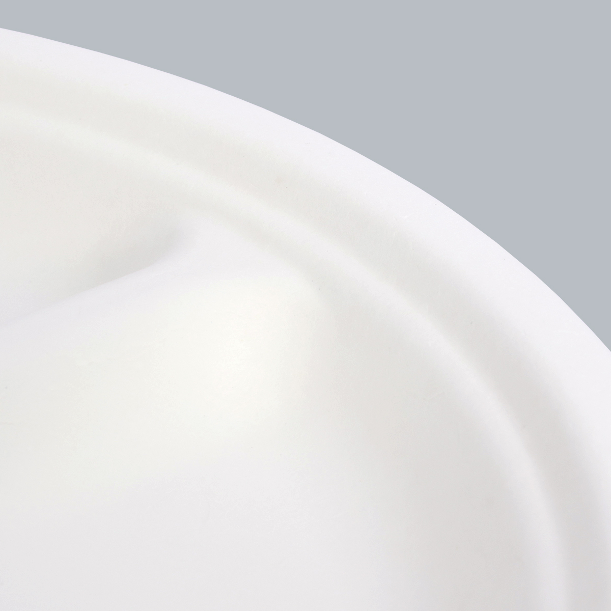 Compostable Paper Plates 3-compartment plate Earth-Friendly Disposable plate