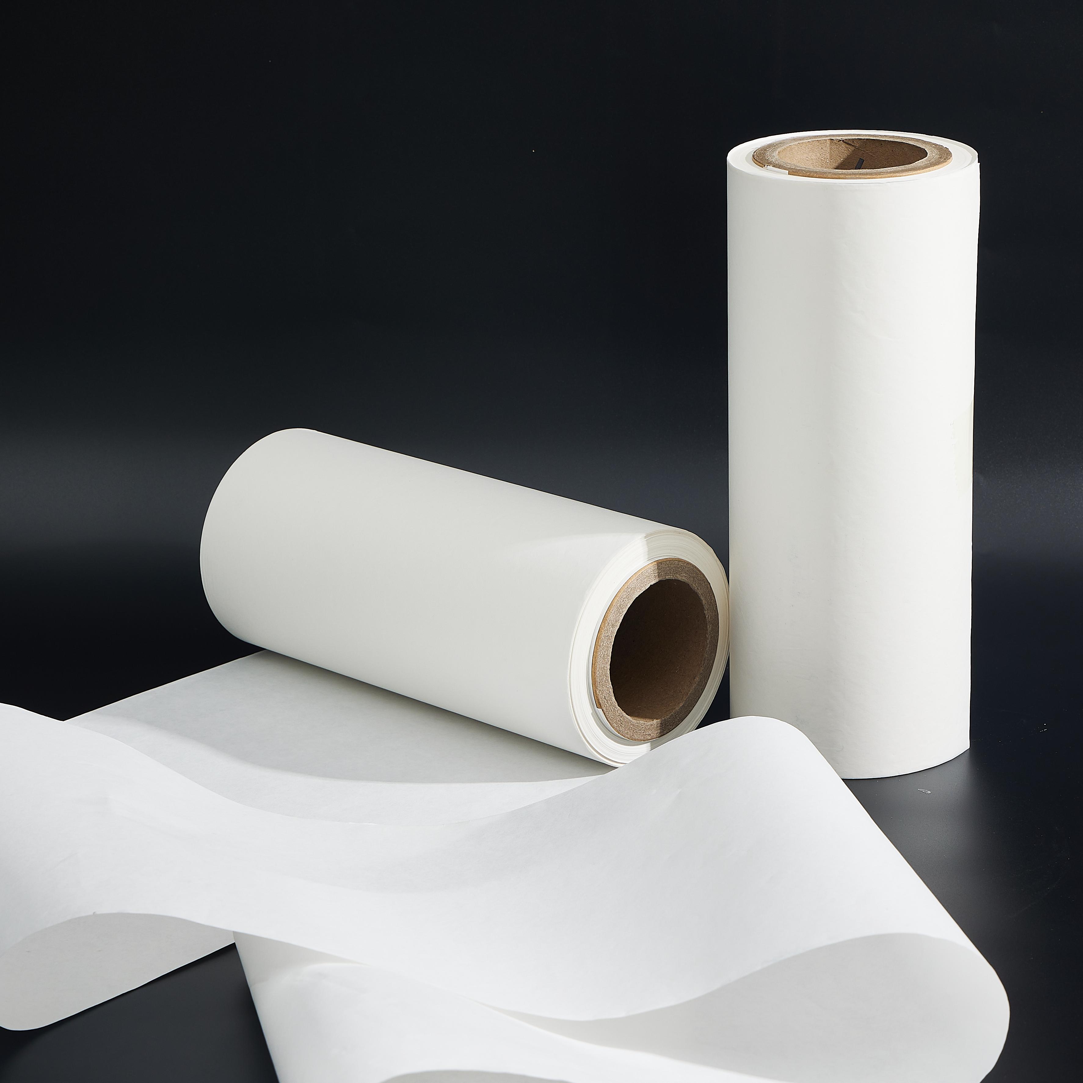 Medical Dialysis Paper Sealed with PP Film for Packaging of Surgical Dental Instruments