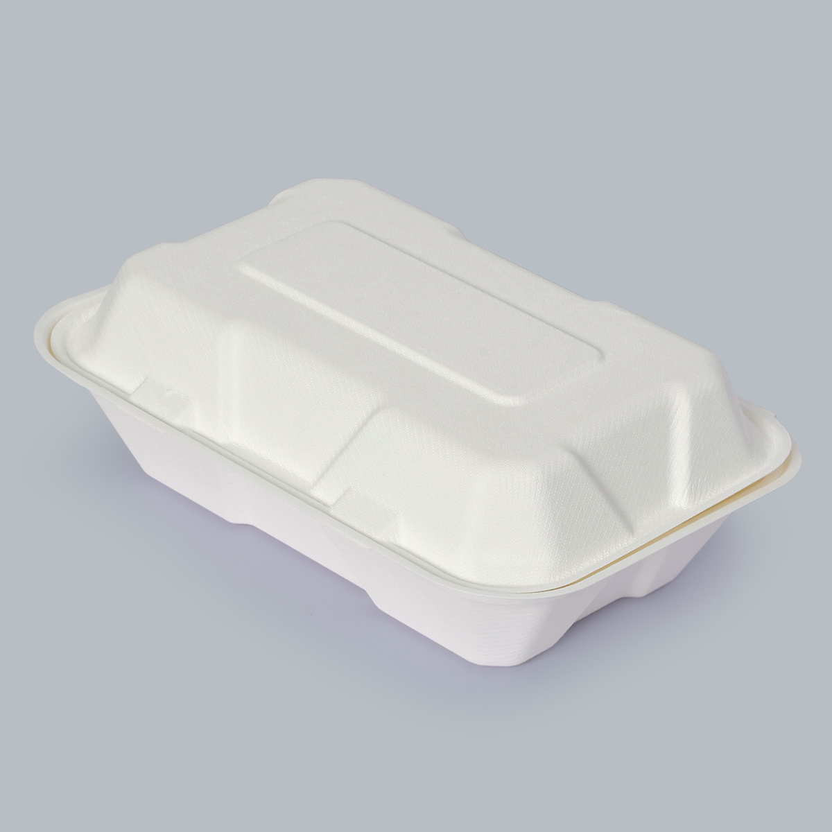 Eco-Friendly Food Containers Sustainable Food Packaging 9x6inch Compostable Paper Plates