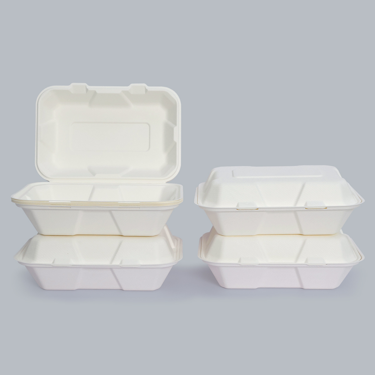 Eco-Friendly Food Containers Sustainable Food Packaging 9x6inch Compostable Paper Plates