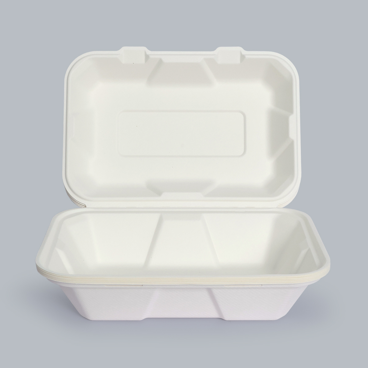 Eco-Friendly Food Containers Sustainable Food Packaging 9x6inch Compostable Paper Plates