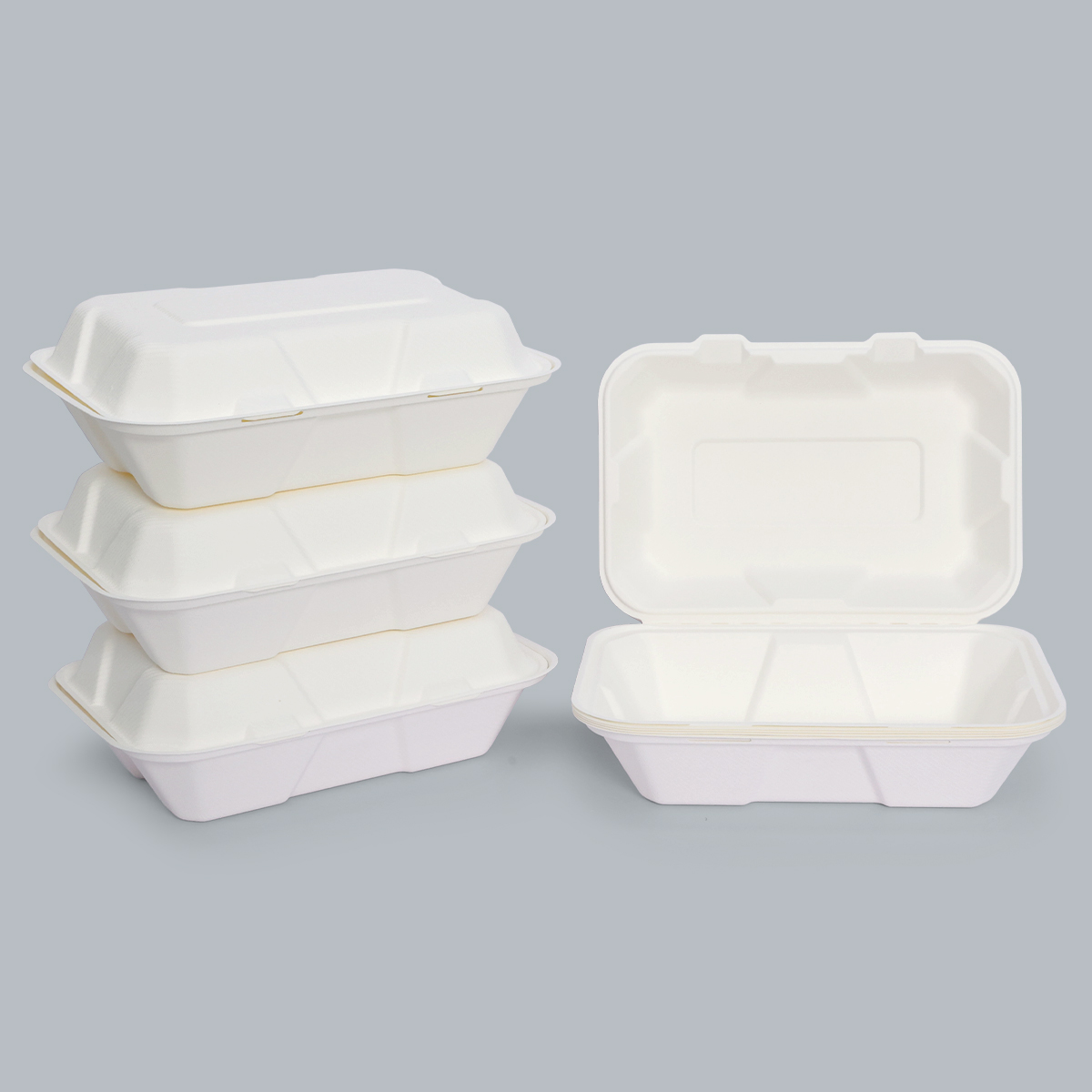 Eco-Friendly Food Containers Sustainable Food Packaging 9x6inch Compostable Paper Plates