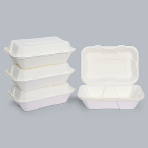 Eco-Friendly Food Containers Sustainable Food Packaging 9x6inch Compostable Paper Plates