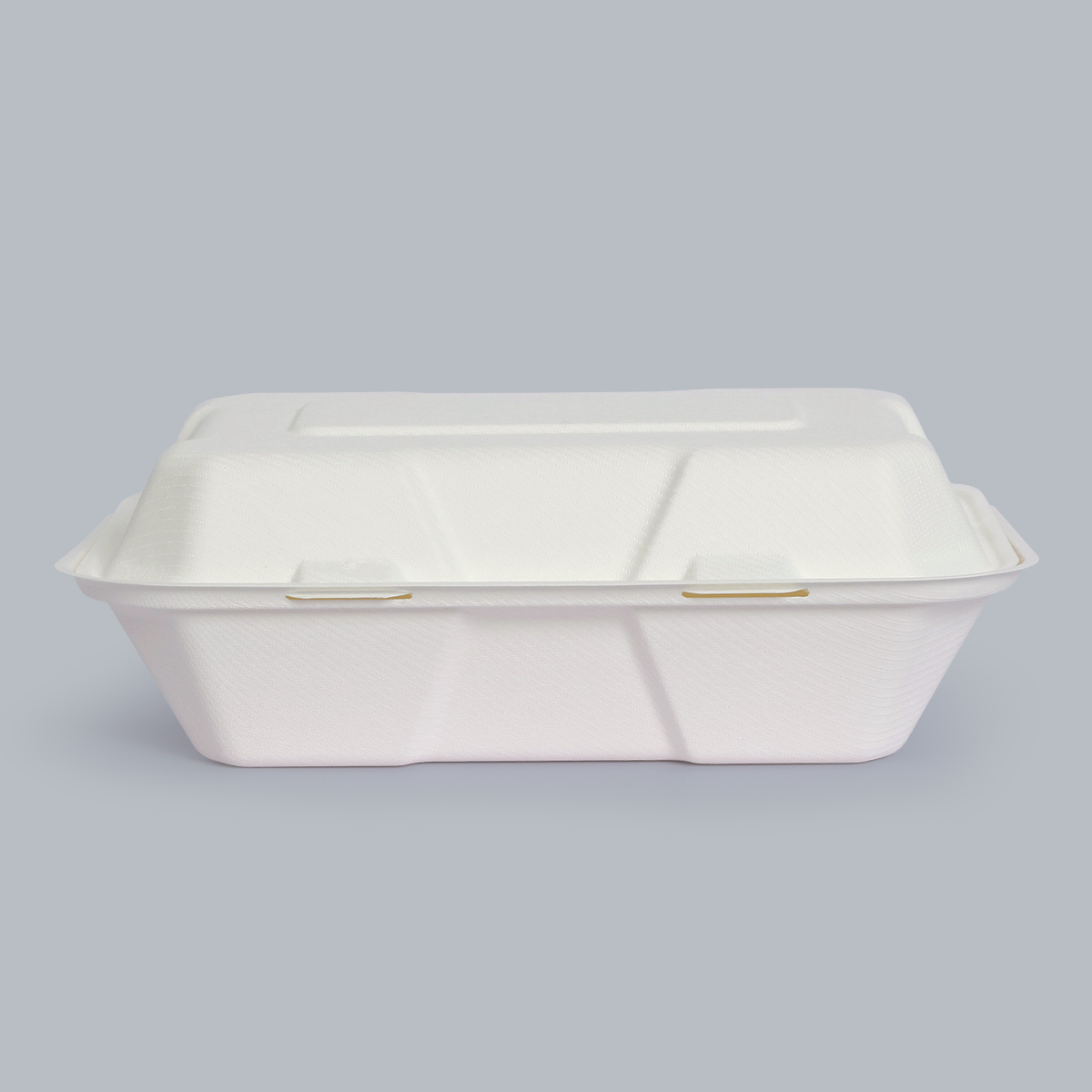 Eco-Friendly Food Containers Sustainable Food Packaging 9x6inch Compostable Paper Plates