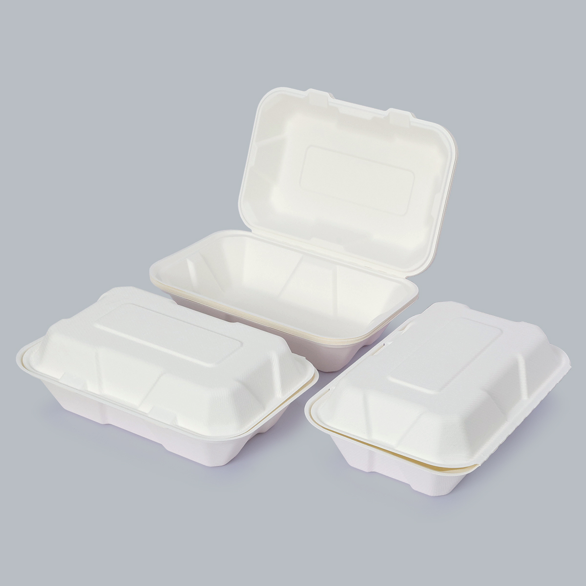 Eco-Friendly Food Containers Sustainable Food Packaging 9x6inch Compostable Paper Plates