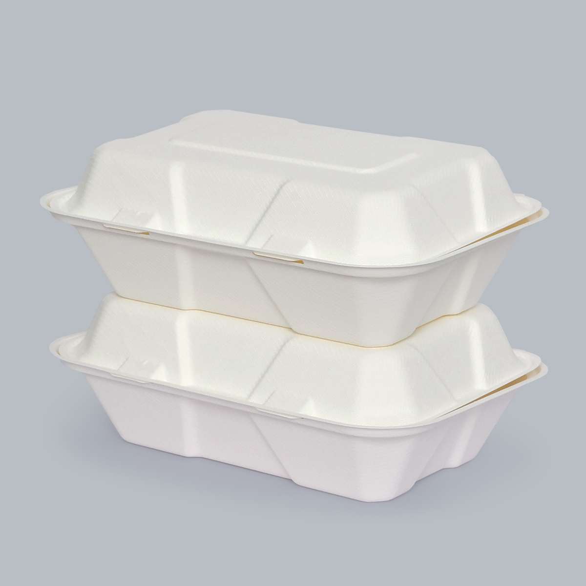 9x6inch Compostable Paper Plates Eco-Friendly Food Containers Eco-Friendly Tableware