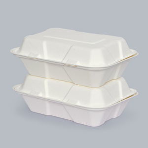 Eco-Friendly Party Supplies Disposable Eco-Friendly Meal box Biodegradable Tableware 9x6 inch