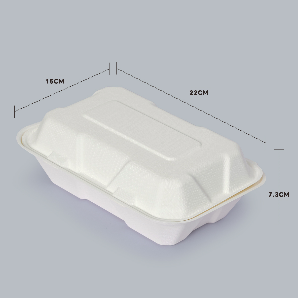 Eco-Friendly Party Supplies Disposable Eco-Friendly Meal box Biodegradable Tableware 9x6 inch