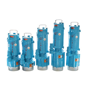 Household High Quality Portable 2 inch 220V 1.1KW WQD Centrifugal Electric Sewage Waste Water Pump Submersible Sewage Pump