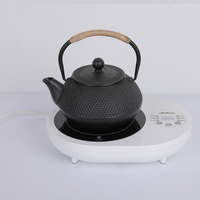 Customized logo electric teapot portable teapot