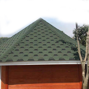 Graphic Design Asphalt Shingles Fieberglass Construction Residential Roofing