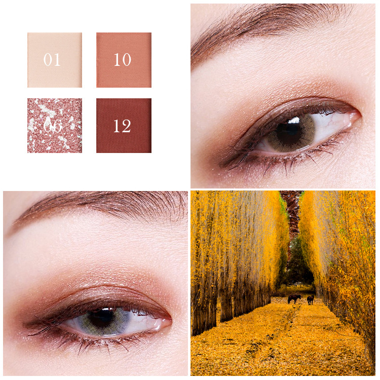 BSIMONE 12 color eyeshadow, blush, highlight, a box of multi-purpose, beautiful
