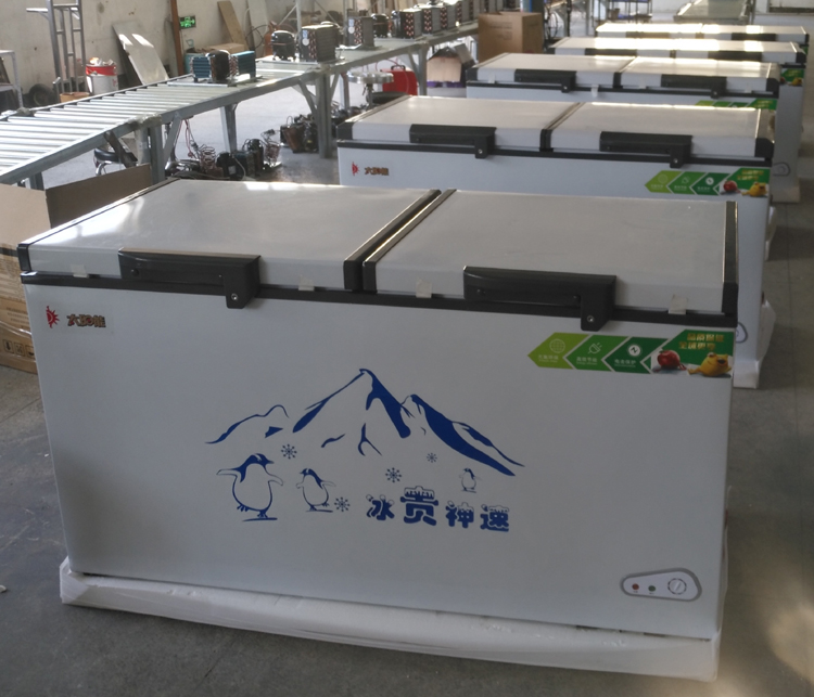 BD/BC-508 DC Solar freezer 12V24V battery chest freezer for Africa deep freezer for Cold chain logistics 48V is available