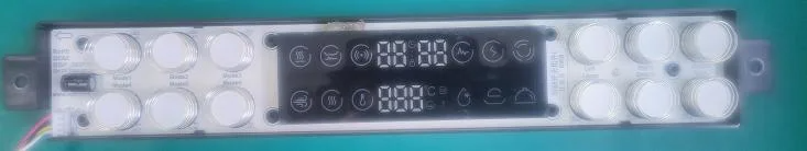 Domestic Inverter Controller for Steam Oven