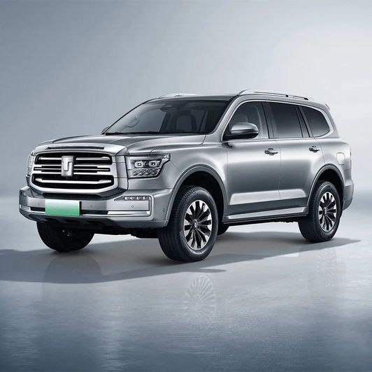 High Speed Electric Cars Tank 500 Hi4-T 5 Seats Suv Hybrid New Energy Vehicles For Sale