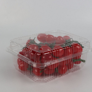 PET clear Fruit Box Disposable Food Container for Supermarket Grocery Store