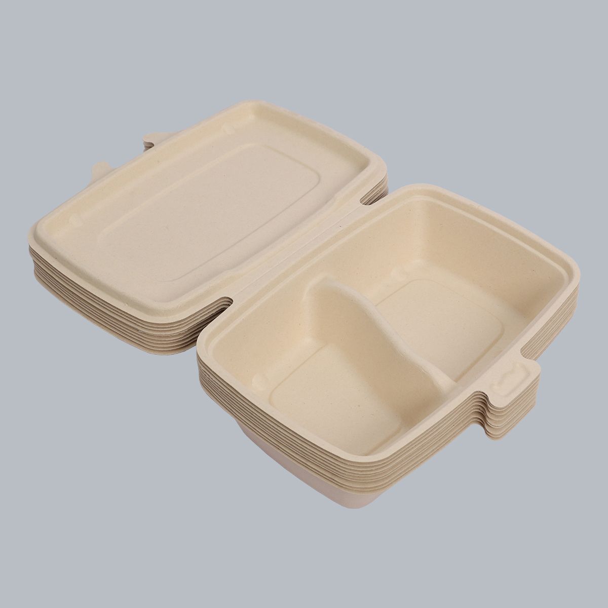 Biodegradable tableware 2-compartment lunch box disposable tableware takeaway boxes clamshell packaging food packaging supplier