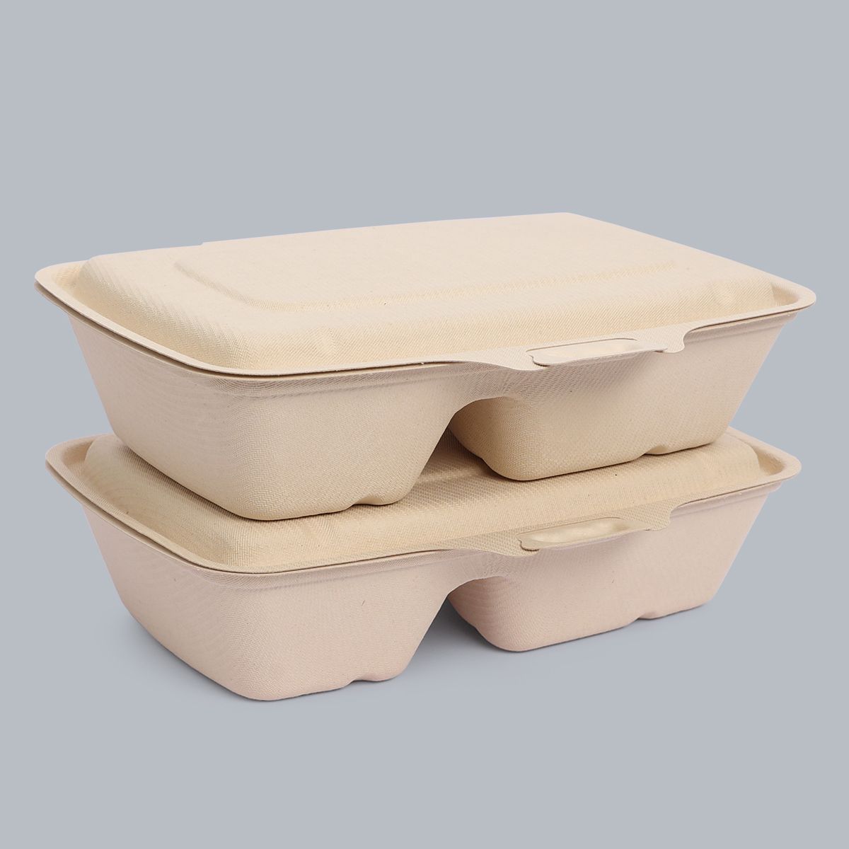 Biodegradable tableware 2-compartment lunch box disposable tableware takeaway boxes clamshell packaging food packaging supplier