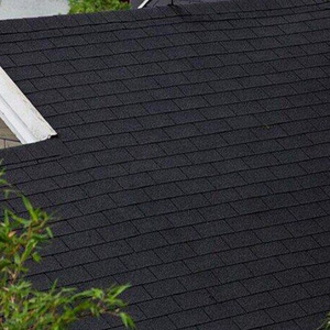 China professional asphalt roofers asphalt fiberglass roof shingles roof cost