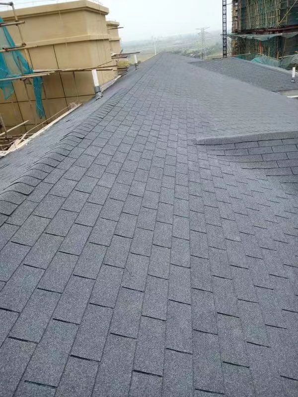 China professional asphalt roofers asphalt fiberglass roof shingles roof cost