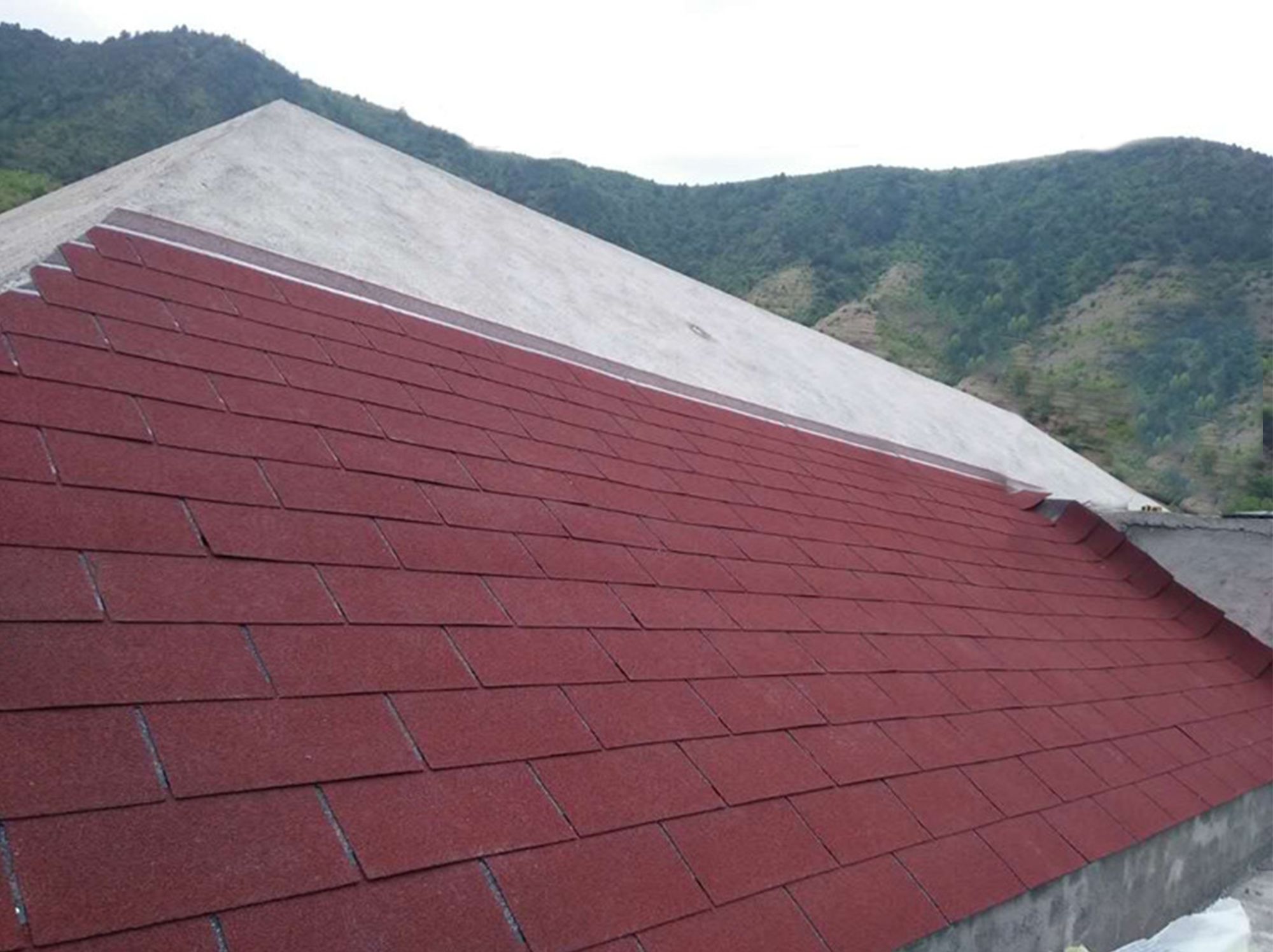 China professional asphalt roofers asphalt fiberglass roof shingles roof cost